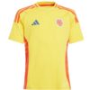 camiseta amarilla de la seleccion colombia 24