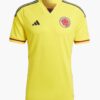 Camiseta de la selección Colombia 2021